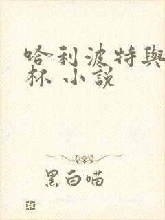 哈利波特与火焰杯 小说