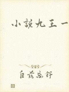 小说九王一后