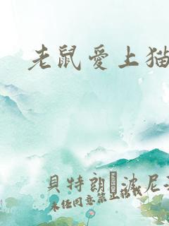 老鼠爱上猫下载