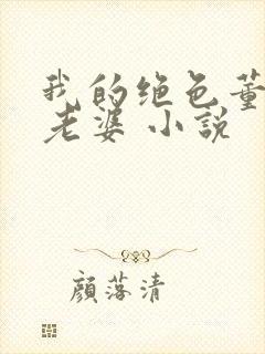 我的绝色董事长老婆 小说