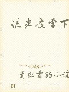 流光夜雪下载