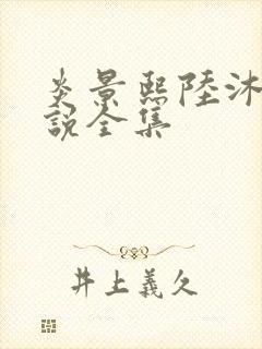 炎景熙陆沐擎小说全集