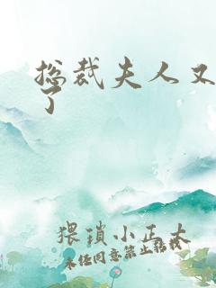 总裁夫人又征婚了