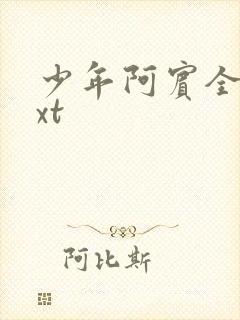 少年阿宾全集txt