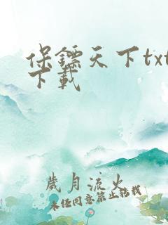 保镖天下txt下载