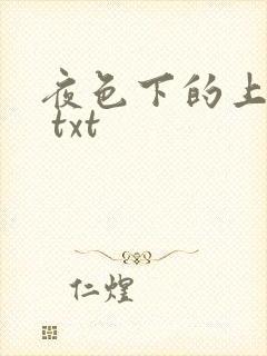 夜色下的上海滩 txt