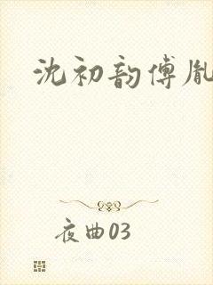 沈初韵傅胤小说