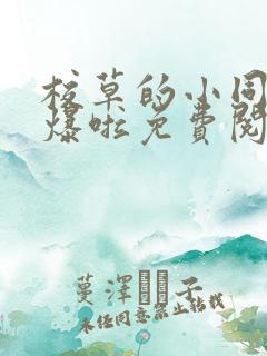 校草的小同桌撩爆啦免费阅读