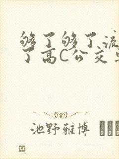 够了够了流出来了高C公交车