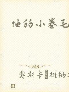 他的小卷毛