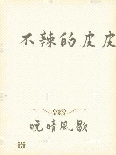不辣的皮皮小说