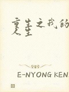 重生之我的抄袭人生