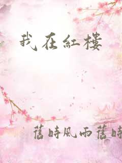 我在红楼