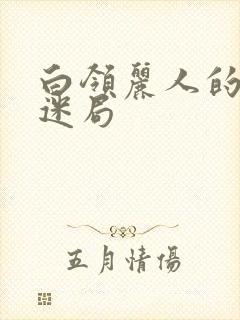 白领丽人的危情迷局