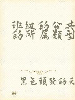 班级的公共小0的所属类型