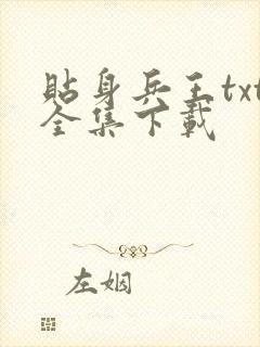 贴身兵王txt全集下载