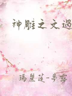 神雕之文过饰非