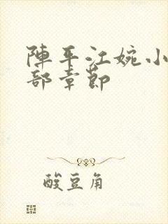 阵平江婉小说全部章节