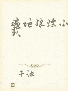 遍地狼烟小说下载