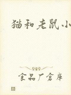 猫和老鼠小说