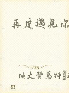 再度遇见你