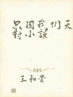 只因我们天生一对小说