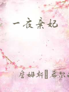 一夜弃妃