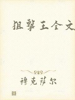 狙击王全文阅读