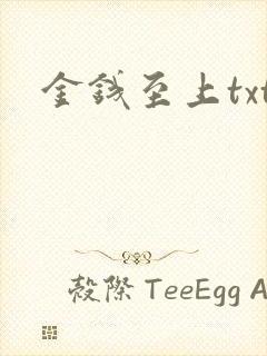 金钱至上txt