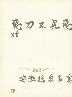 飞刀又见飞刀txt