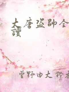 大唐盗帅全文阅读