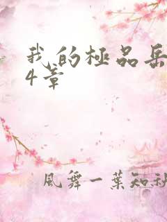 我的极品岳坶34章