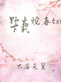 野火烧春txt下载