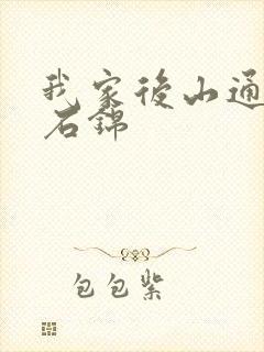 我家后山通仙界石锦