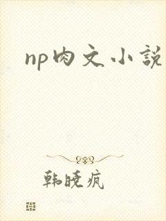 np肉文小说