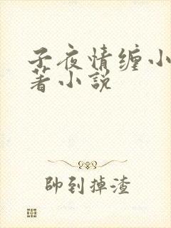 子夜情缠小说原著小说