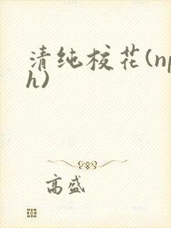 清纯校花(nph)