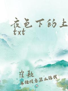 夜色下的上海滩 txt