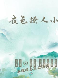 夜色撩人小说
