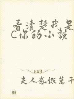 看清楚我是怎么C你的小说