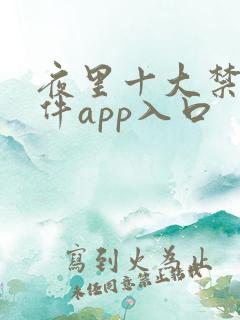 夜里十大禁用软件app入口