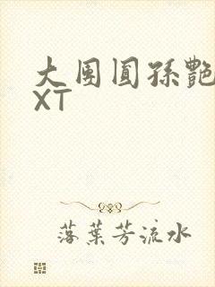 大团圆孙艳梅TXT