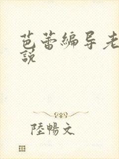 芭蕾编导老师小说