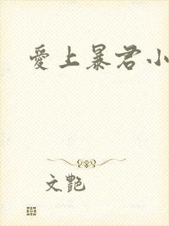 爱上暴君小甜心