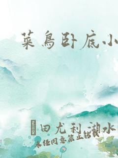 菜鸟卧底小正太