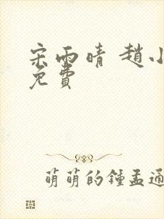 宋雨晴 赵小刚免费