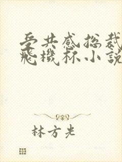 受共感总裁攻的飞机杯小说叫什么