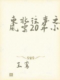 东北往事之黑道风云20年小说