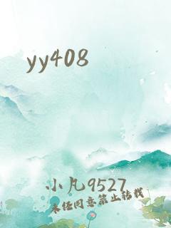 yy408