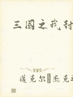 三国之我封天下